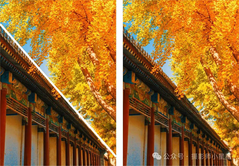 对角线构图法3.jpg 对角线构图法3.jpg