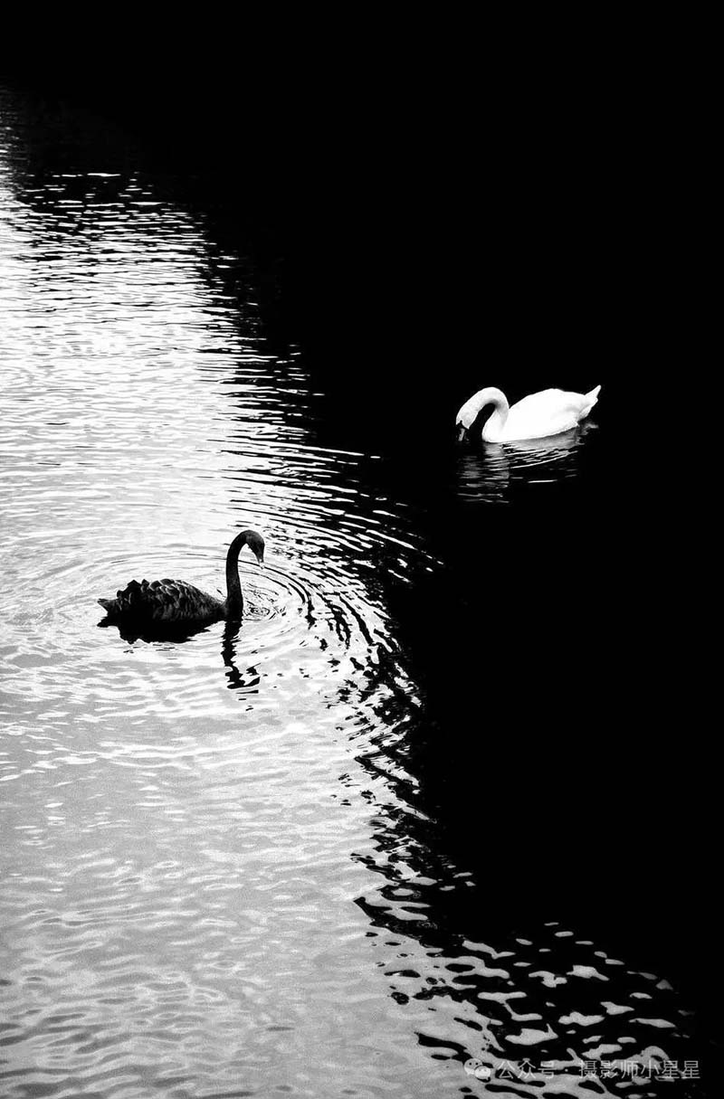 对角线构图法7.jpg 对角线构图法7.jpg