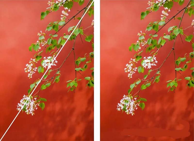 对角线构图法8.jpg 对角线构图法8.jpg