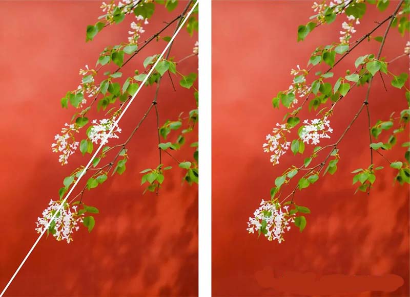 对角线构图法10.jpg 对角线构图法10.jpg