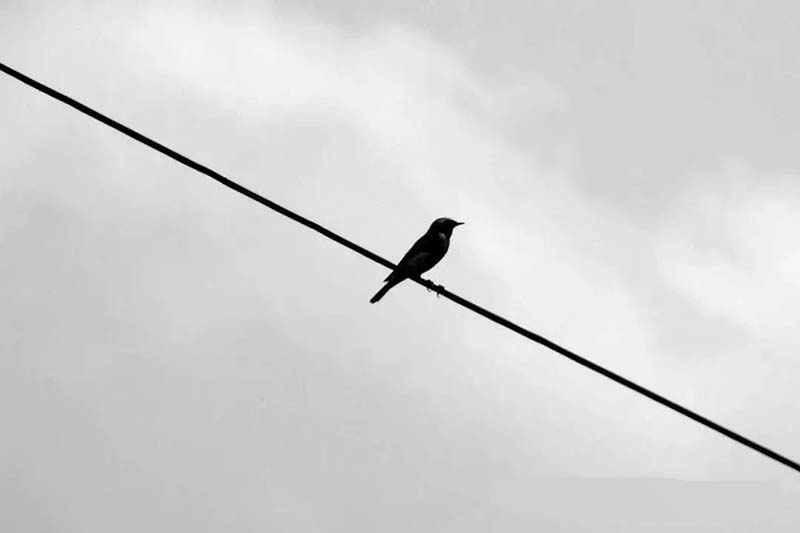 对角线构图法14.jpg 对角线构图法14.jpg