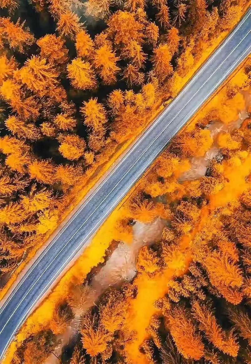 对角线构图法18.jpg 对角线构图法18.jpg