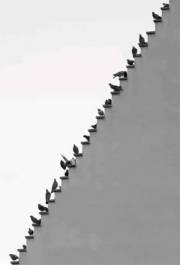 对角线构图法21.jpg 对角线构图法21.jpg