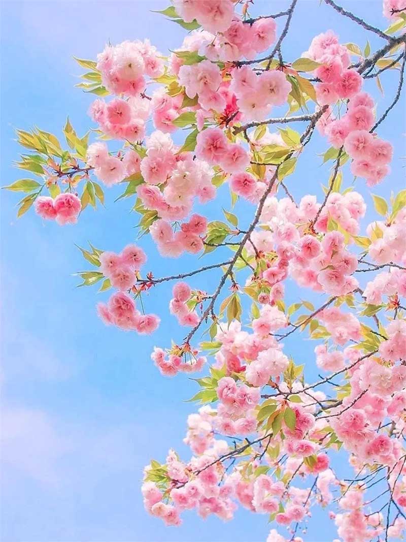 手机拍照怎么调比例3.jpg 手机拍照怎么调比例3.jpg