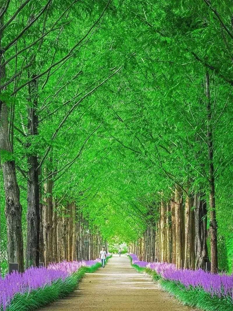 手机拍照怎么调比例？手机这样设置，瞬间提升画面美感！