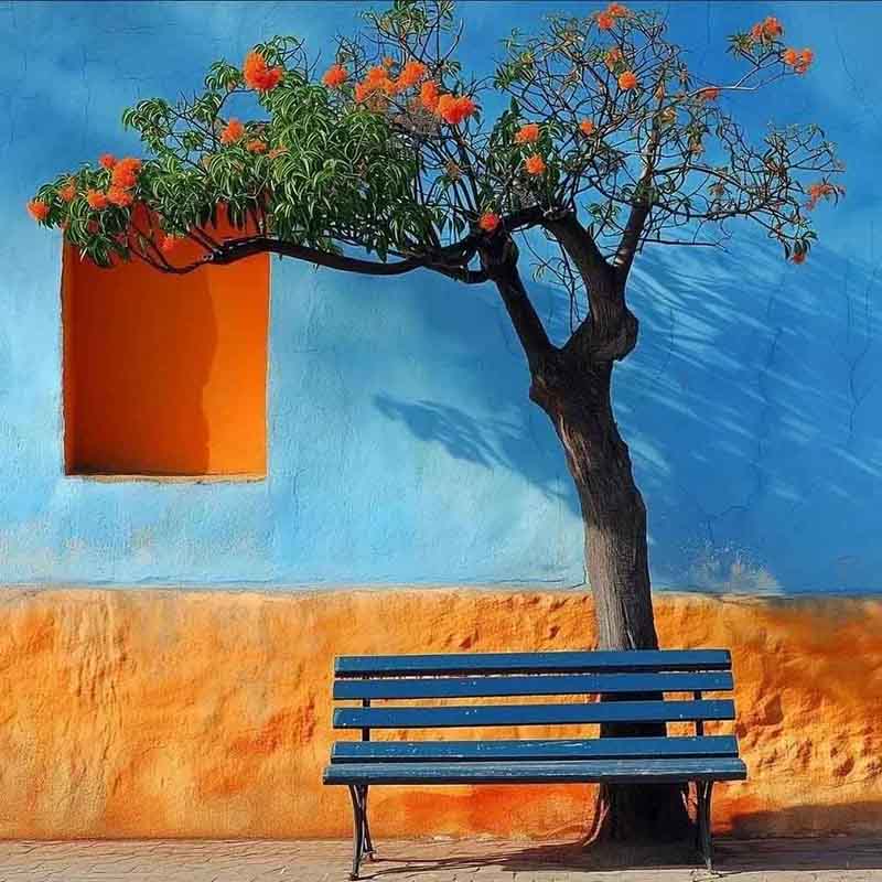 手机拍照怎么调比例7.jpg 手机拍照怎么调比例7.jpg